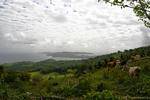 Vue sur la presqu'île de La Caravelle depuis les hauts, Martinique.