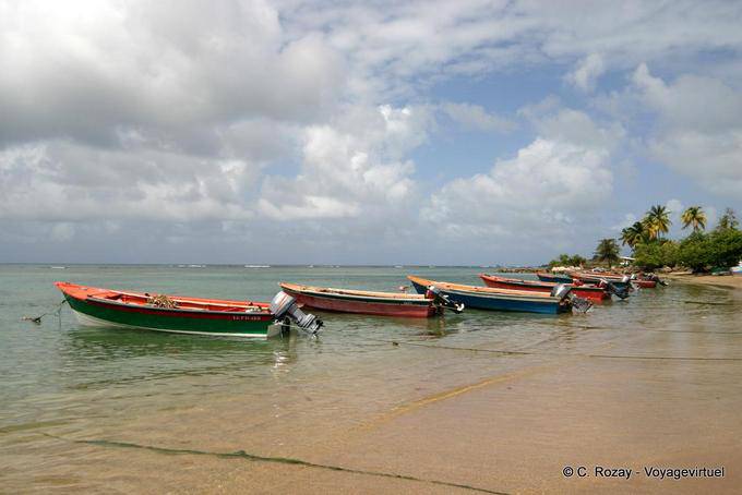 Alignement de barques de pêche sur la plage, Anse l'Etang, la Caravelle - Martinique