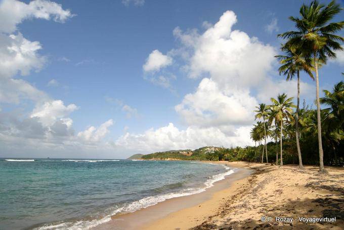 Plage sur la Caravelle, Anse l'Etang - Martinique