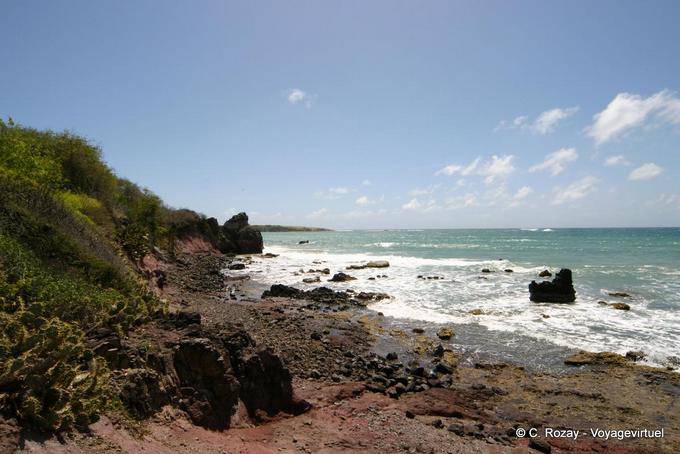 Pointe rocheuse dans les environs de la Savane des Pétrifications - Martinique