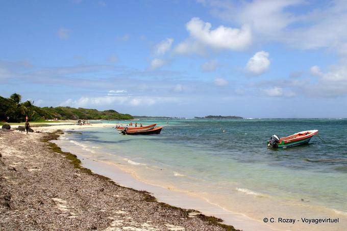 Anse Michel (emplacement à confirmer) - Martinique