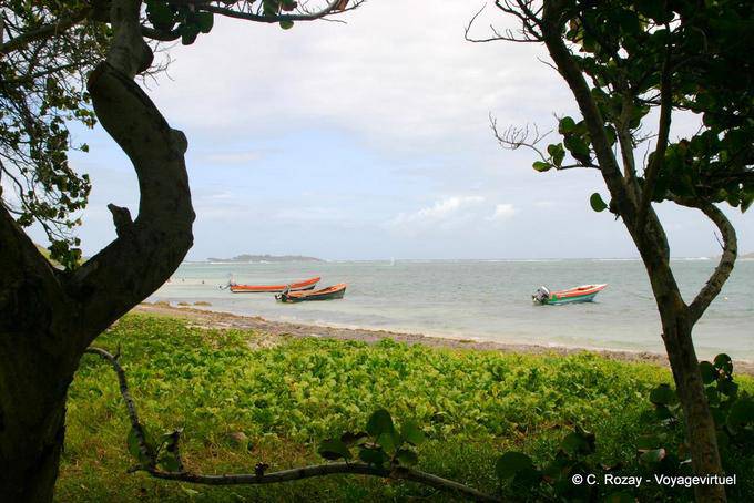 Baie du cap Chevalier et ilet Chevalier - Martinique