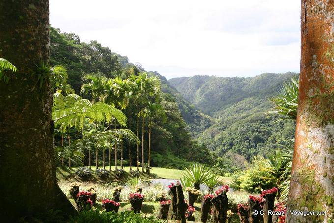 Balata, panorama dans le bas du jardin - Martinique