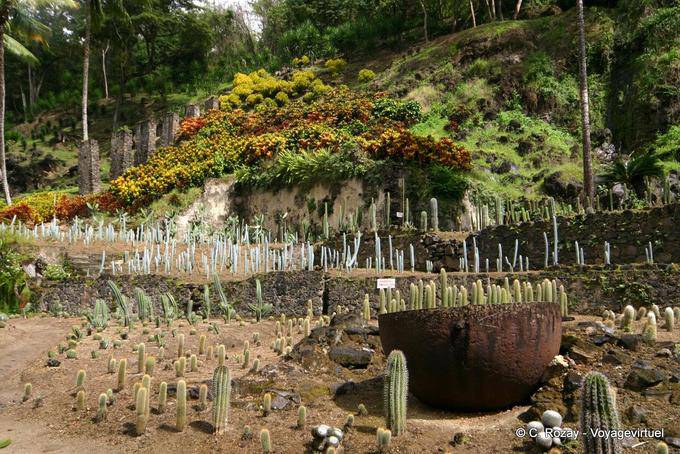 Panorama sur la  vallée des cactus, Habitation Latouche - Martinique