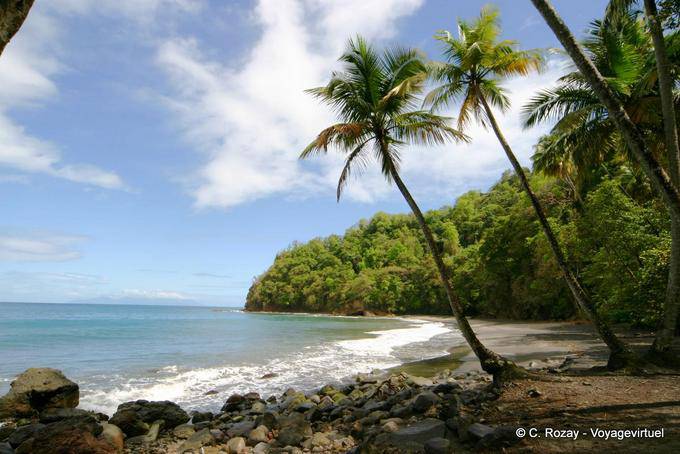 A l'ombre d'une nature exubérante sur Anse Couleuvre - Martinique