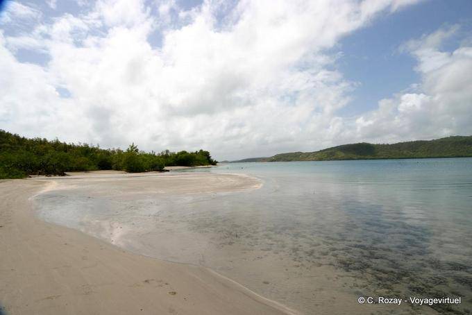 Baie du Trésor, plage et eau translucide, presqu'île de La Caravelle - Martinique