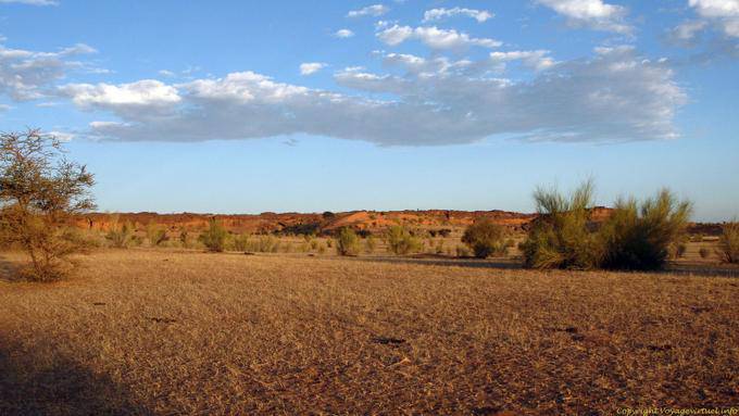 Culture dans une région sahélienne, Assaba, Mauritanie