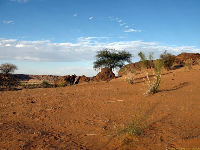 Nature dans la région du massif de l'Assaba, Mauritanie