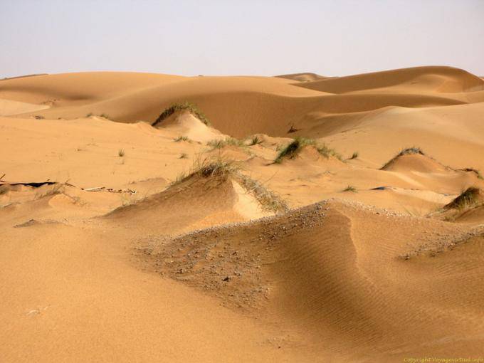 Mini dunes, entre Nouakchott et la frontière du Maroc, Mauritanie
