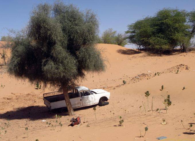 Pick-up à l'ombre, route Boutilimit Boghé, Mauritanie