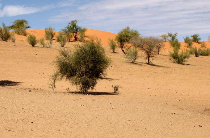 Dunes de couleurs, Route de Souffa, cathédrale naturelle, Mauritanie