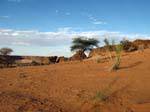 Nature dans la région du massif de l'Assaba, Mauritanie.