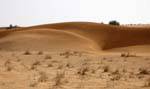 Dunes, entre Nouakchott et la frontière du Maroc, Mauritanie.
