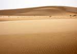 Sable mouillé, entre Nouakchott et la frontière du Maroc, Mauritanie.