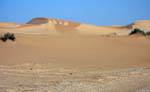 Couleurs du sable en train de sécher, entre Nouakchott et la frontière du Maroc, Mauritanie.