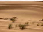 Plissement de dune dans le désert, entre Nouakchott et la frontière du Maroc, Mauritanie.