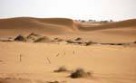 Passage dans le Sahara, entre Nouakchott et la frontière du Maroc, Mauritanie.