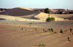 Couleurs de sable, Route de l'Espoir, Mauritanie.