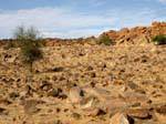 Souffa, nature inhospitalière, Mauritanie.