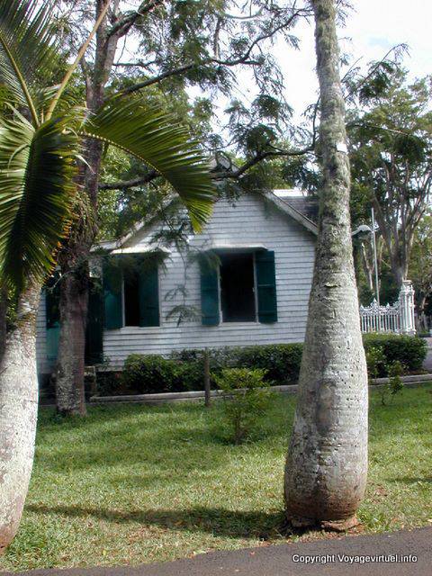 Tronc d'un palmier, Avenue La Bourdonnais, Pamplemousses, île Maurice
