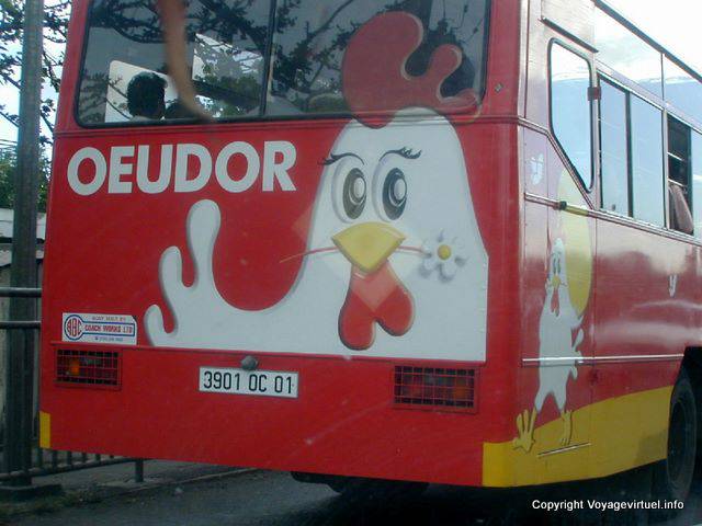 Oeudor, publicité sur l'arrière d'un bus, île Maurice