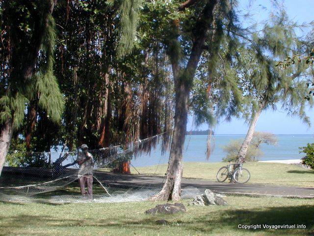 Pêcheur et son filet dans les arbres, La Gaulette, île Maurice