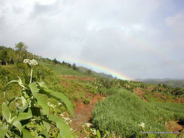 Arc-en-ciel depuis les cultures de Plaine Champagne, île Maurice