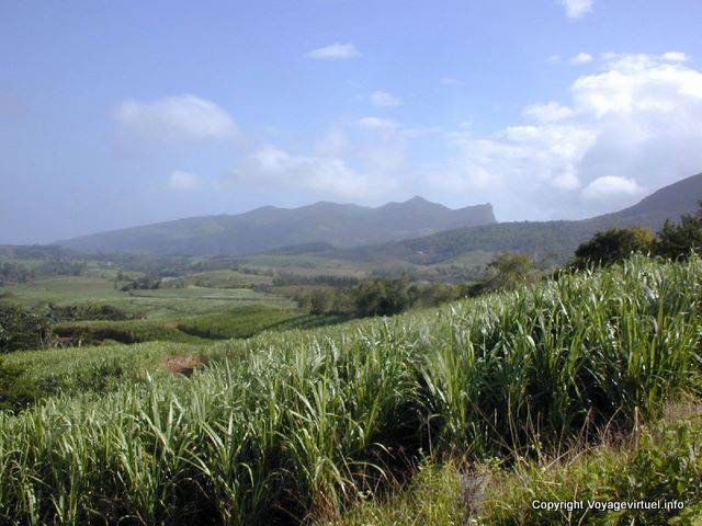 Champ de canne à sucre, Plaine Champagne, île Maurice