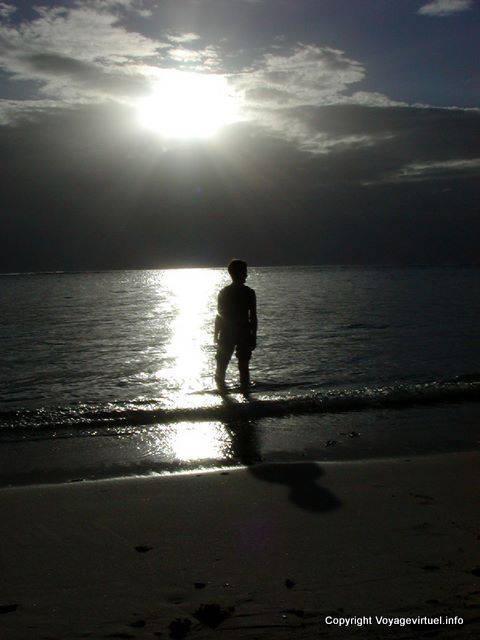 Contre-jour, île Maurice