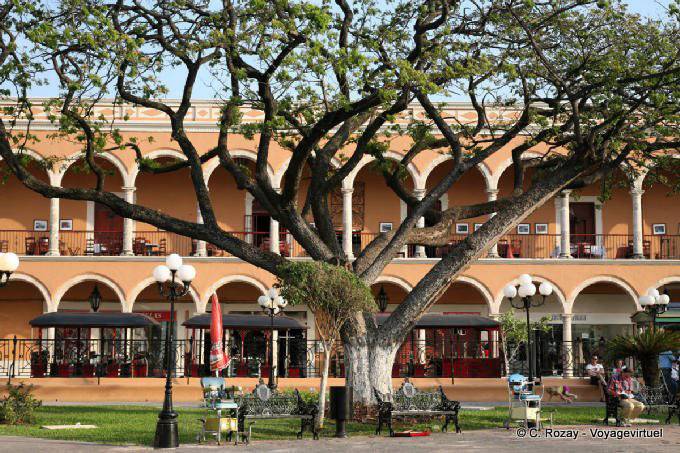 Arbre devant les arcades, Plaza de la Independencia, Campeche - Mexique