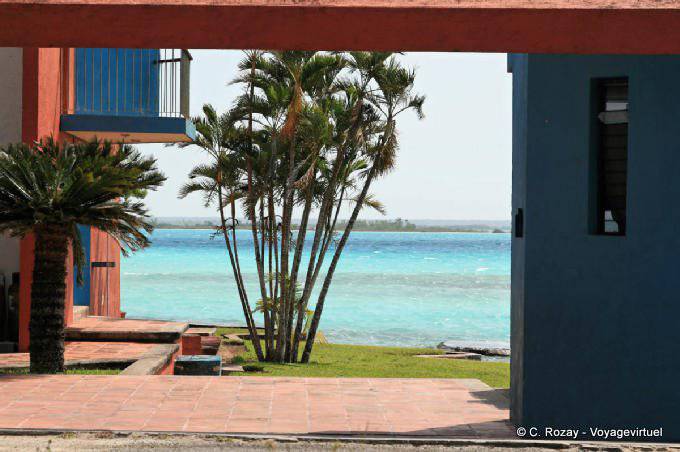 Palmiers sur le rivage, Laguna de Bacalar - Mexique