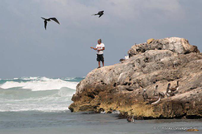Le pêcheur, les frégates et les pélicans, Tulum - Mexique