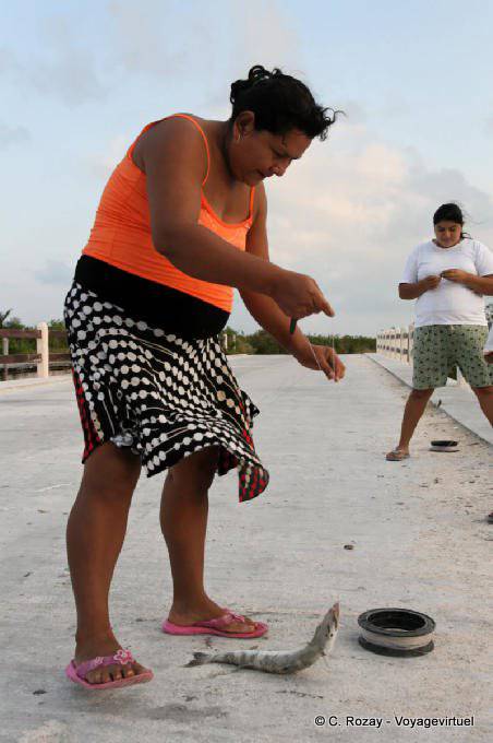Pêche à La ligne depuis le pont, Sian Kaan, Tulum - Mexique