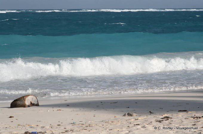 Couleur Caraible sur la plage déserte, Tulum - Mexique
