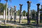 Jardin intérieur du marché, Grupo de Las Mil Columnas, Chichen Itza, Mexique.