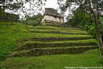 Au pied du Grupo de Las Cruces, Palenque, Mexique.