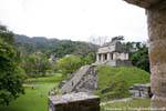 Vue du groupe nord, Templo del Conde, Palenque, Mexique.