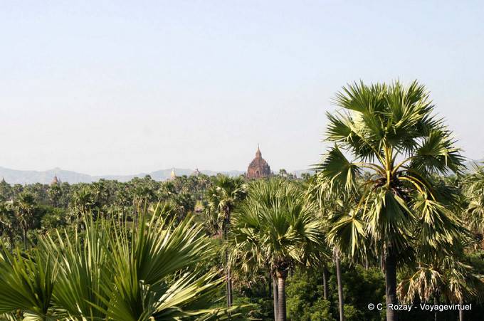 La plaine de Bagan - Myanmar (Birmanie)