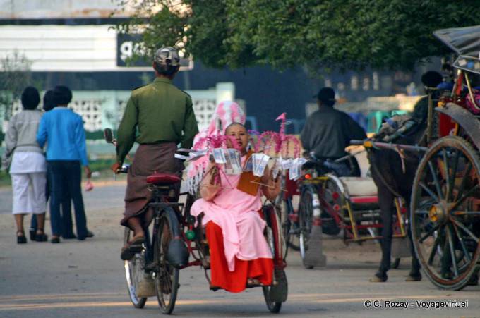Transport d'une nonne à offrandes, Nyaung-U, Bagan - Myanmar (Birmanie)