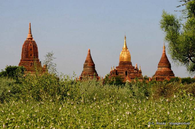 Temples et stupas aux alentours de l'Ananda, Bagan - Myanmar (Birmanie)