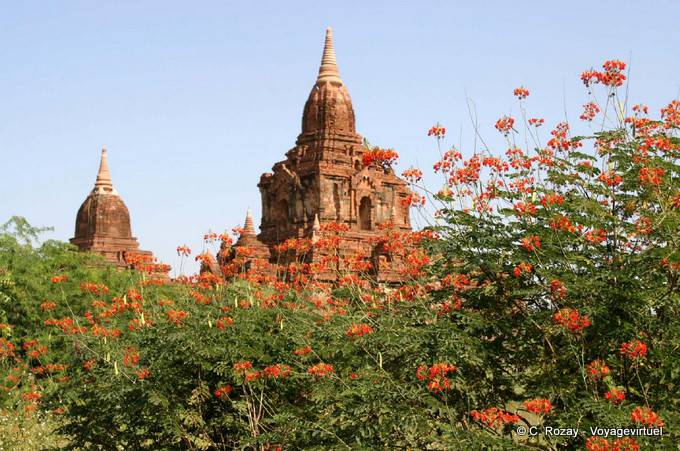 Nwar Pya Gu Temple, Ancien Bagan - Myanmar (Birmanie)