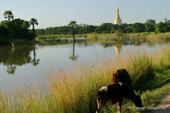 Reflets et stupa de la pagode Lawka Tharahpu, Ava, Mandalay - Myanmar (Birmanie)