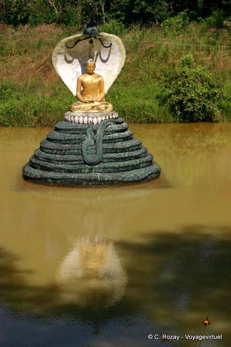 Statue bouddhique protègée par un naga dans le lac royal Kandawgyi, Rangoon - Myanmar (Birmanie)