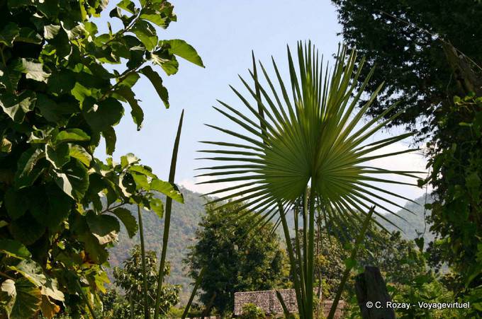 Environs de Taungto Village, Sagar - Myanmar (Birmanie)