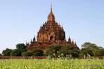 Panorama sur le temple Sulamani, Bagan, Birmanie.