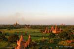 Lumières du soir sur les temples et pagodes, Bagan, Birmanie.