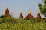 Temples et stupas aux alentours de l'Ananda, Bagan, Birmanie.