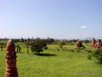 Stupas dans l'herbe verte, Bagan, Birmanie.