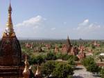 La fôret des temples vue depuis le temple Lemyethna, Bagan, Birmanie.