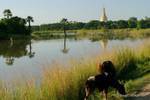 Reflets et stupa de la pagode Lawka Tharahpu, Ava, Mandalay, Birmanie.